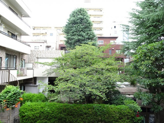 【展望】 | エクセル藤和