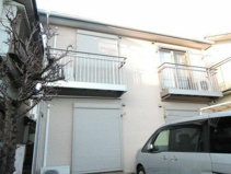 ルミエールヒイラギの画像