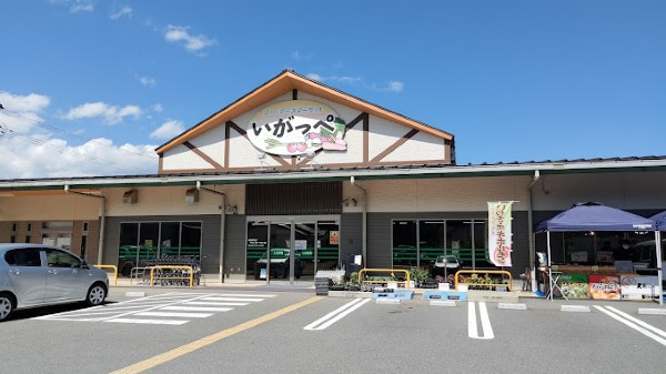 カーザシーレイの周辺|徒歩９分の周辺施設