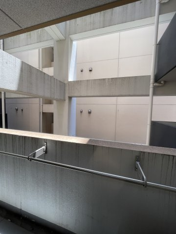 セレニテ難波西の展望