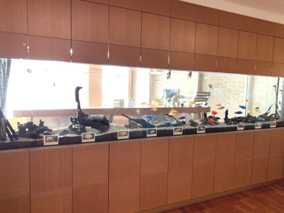 【エントランス】 | ワコーレ山本通グランツィオ | 綺麗なお魚たちが癒しをくれます。