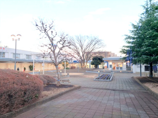 【周辺】 | クリエイトS・Dまで徒歩７分！お買い物までの道のりも気持ちがいい街並みです！