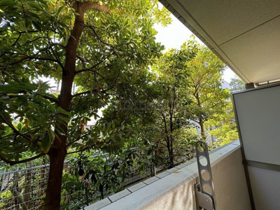 【展望】 | メゾン リヴェール