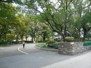  | アメニティ江戸堀