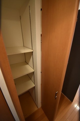 【その他】 | エスリード御堂筋梅田 | 収納があります
