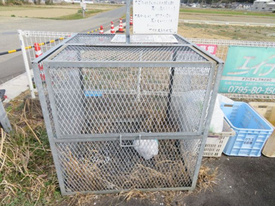 【その他共用部分】 | フォレストヒルズ | 敷地内ゴミ収集所