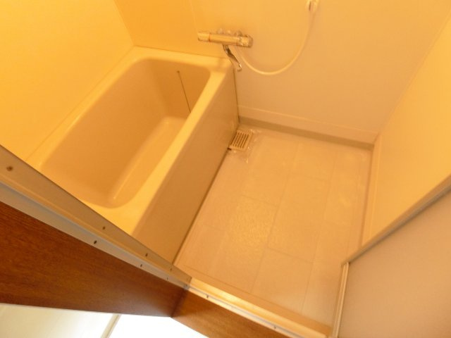 テラスハウス袴田の浴室