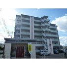 ネオジェラーモⅢの画像