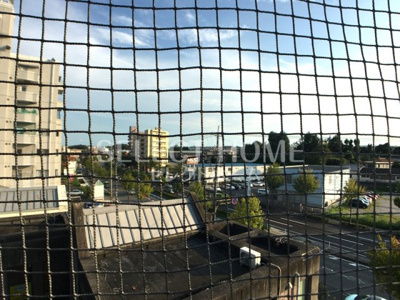  | イーストガーデン杉の木館