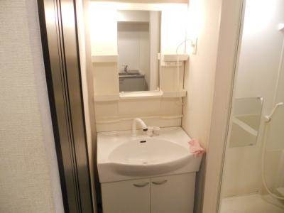 メディナ丹波口の洗面所|独立洗面台