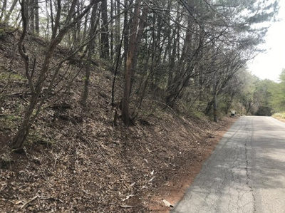 【外観】 | 佐久高原美笹別荘地 | Ｄ－６５