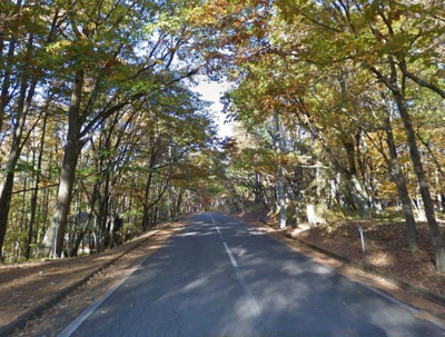 【前面道路含む現地写真】 | 佐久高原美笹別荘地 | Ｂ地区内の蓼科スカイライン