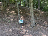 佐久高原美笹別荘地の画像