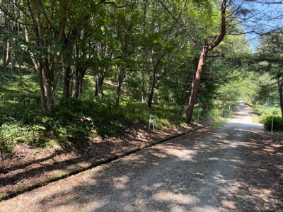 【前面道路含む現地写真】 | 佐久高原美笹別荘地 | Ｂ－３７
