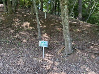 【外観】 | 佐久高原美笹別荘地 | Ｄ－１７