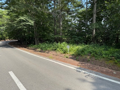 【前面道路含む現地写真】 | 佐久高原美笹別荘地 | Ｄ－２３