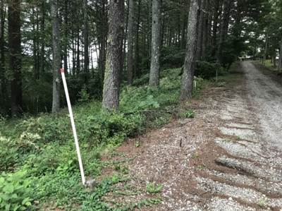 【前面道路含む現地写真】 | 佐久高原美笹別荘地 | Ｄ－４８