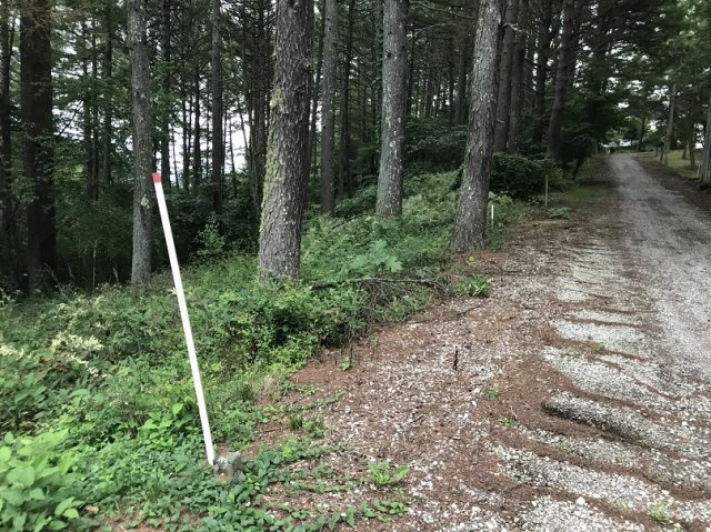 【前面道路含む現地写真】 | 佐久高原美笹別荘地 | Ｄ－４８