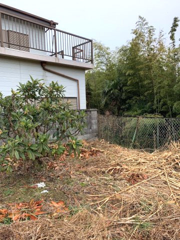 海草郡紀美野町小畑・土地・56705の外観