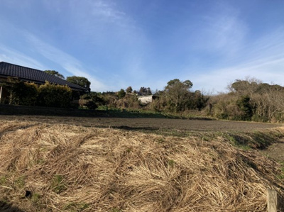 【外観】 | 肝属郡肝付町新富　土地