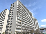 八戸ノ里第三ガーデンハイツB棟　☆新規リノベーション！の画像