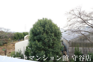【展望】