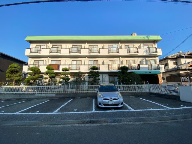 レディース金剛