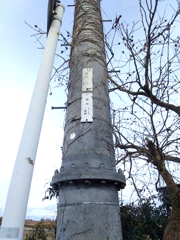 高島市勝野253坪