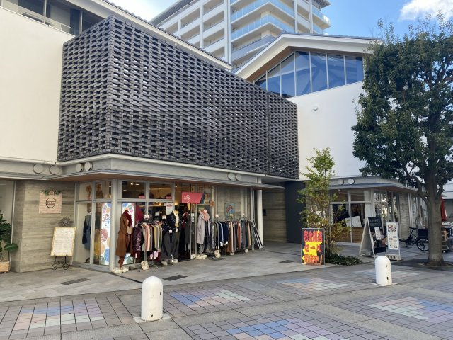 和音の外観