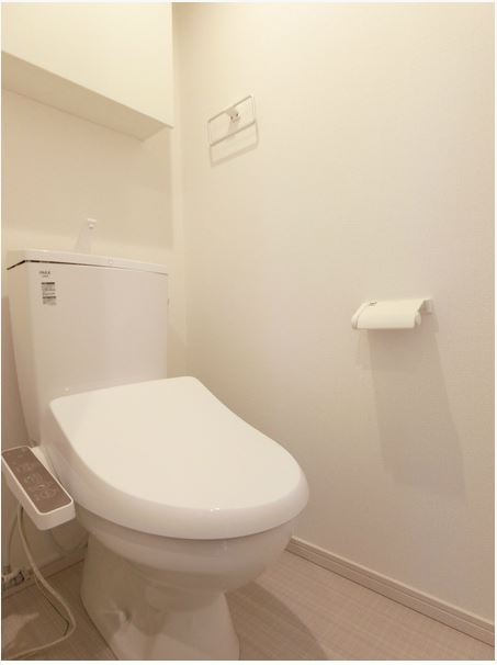 岸和田市下池田町１丁目のハイツのトイレ|トイレも気になるポイント