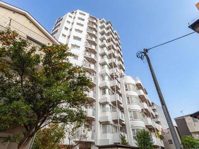 【外観】 | グリーンパーク金町II