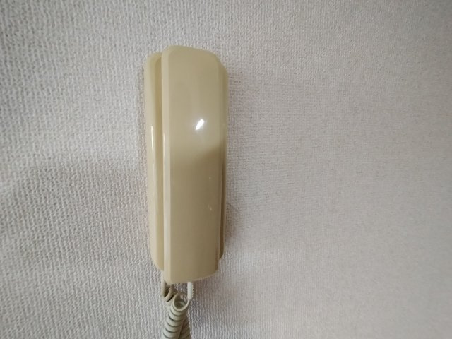 プリミエール井戸田のセキュリティ