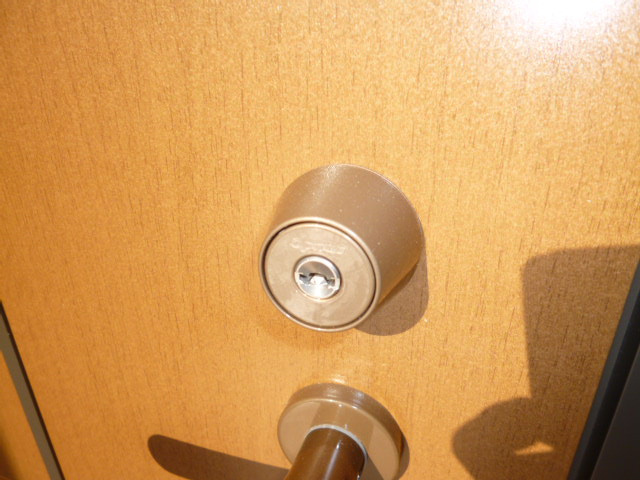 ピュアグリーンＡのセキュリティ|オプナスキー