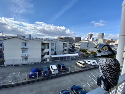 【展望】 | アンフィニィ・京口