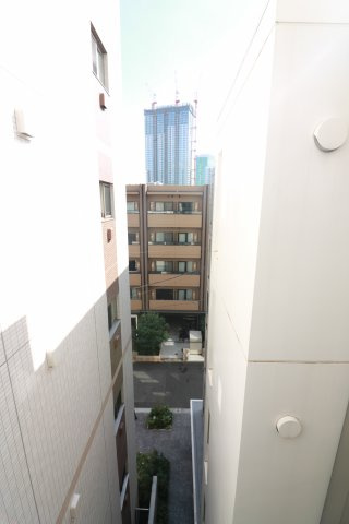【展望】