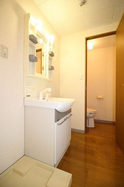 グランパレスパゴダの独立洗面台|独立洗面台、朝の身支度には欠かせません