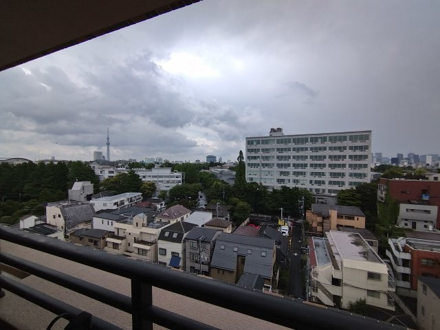 【展望】