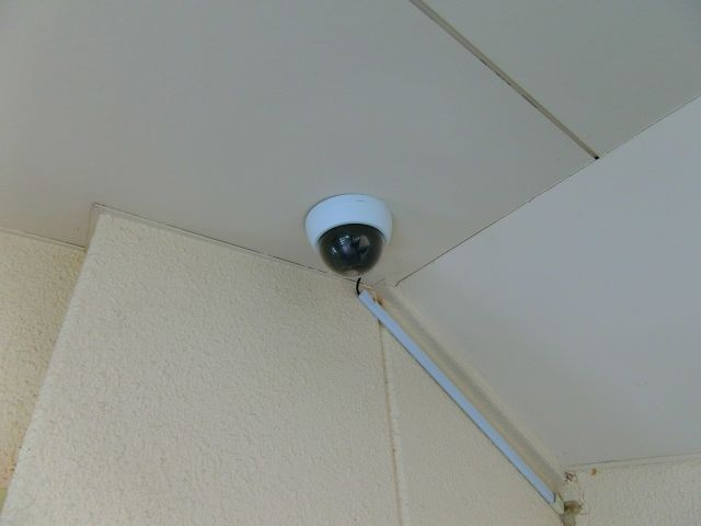ヴィアベルデのその他