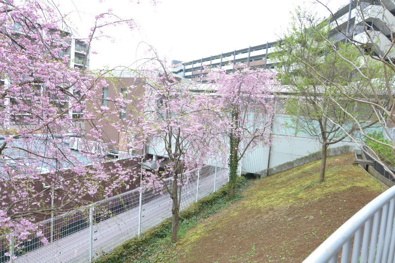 の-の画像