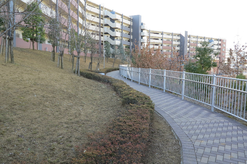 の-の画像