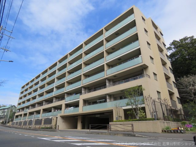 の-の画像
