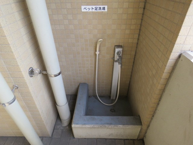 の-の画像
