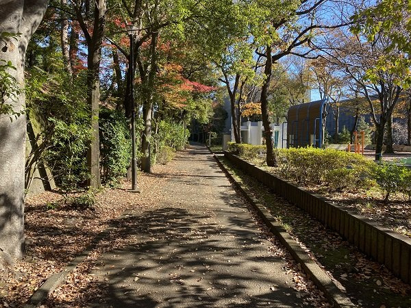 の-の画像