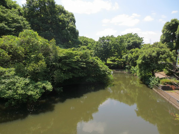 の-の画像