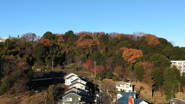 の-の画像