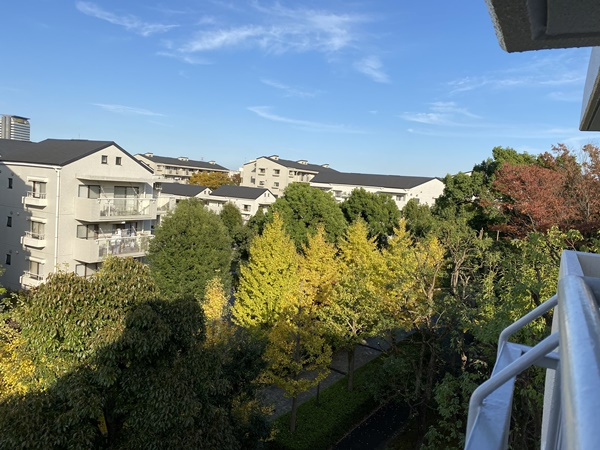 の-の画像