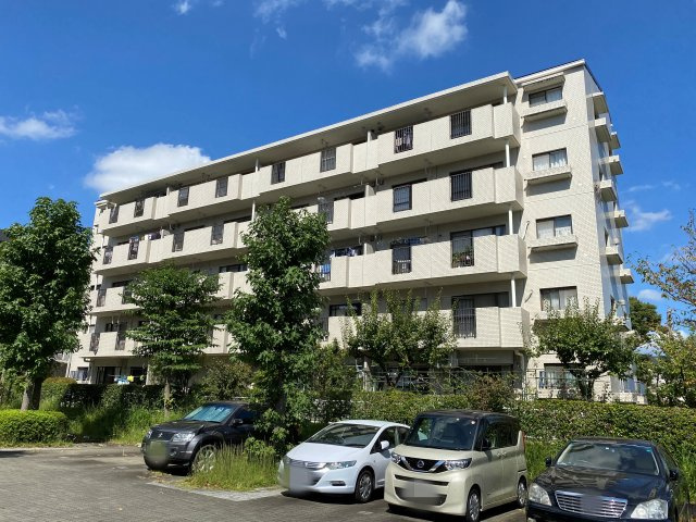 の-の画像