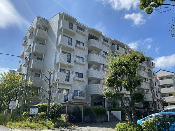 の-の画像