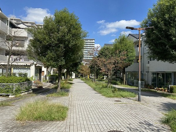 の-の画像