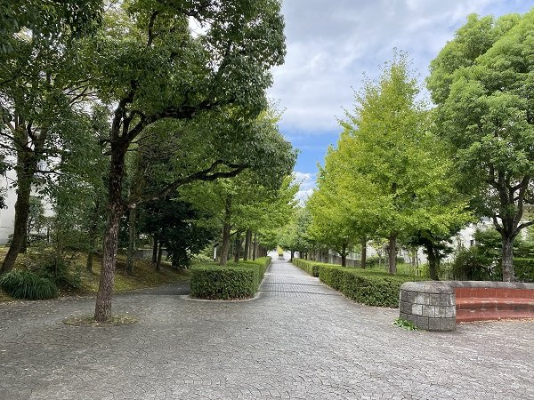 の-の画像